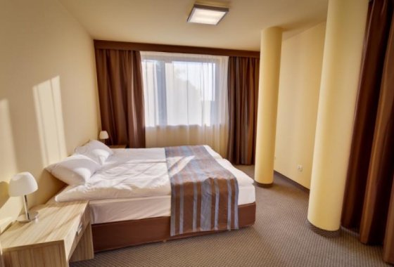 hotel *** - Hotel Święcice - Pokoje - zdjęcie 2