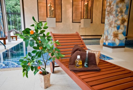 hotel **** - Hotel Afrodyta **** Business & SPA - Usługi - zdjęcie 4
