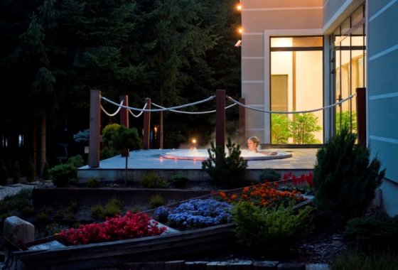 hotel **** - Hotel Afrodyta **** Business & SPA - Usługi - zdjęcie 7