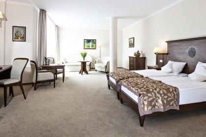hotel **** - Hotel Lubicz Wellness & SPA - zdjęcie 3