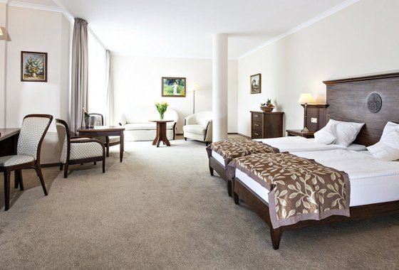 hotel **** - Hotel Lubicz Wellness & SPA - Pokoje - zdjęcie 3