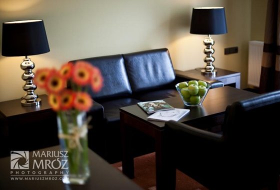 hotel **** - Spa Medical Dwór Elizy - Pokoje - zdjęcie 2