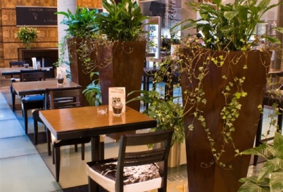 hotel ***** - Hotel Monopol Katowice - Usługi - zdjęcie 3