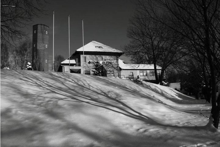 Hotel OLESNO