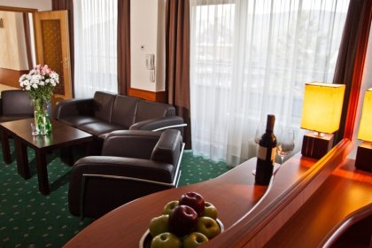 hotel *** - Hotel Wilga - zdjęcie 7
