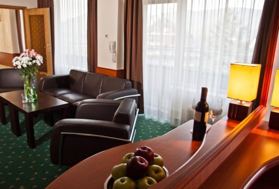 hotel *** - Hotel Wilga - Pokoje - zdjęcie 4