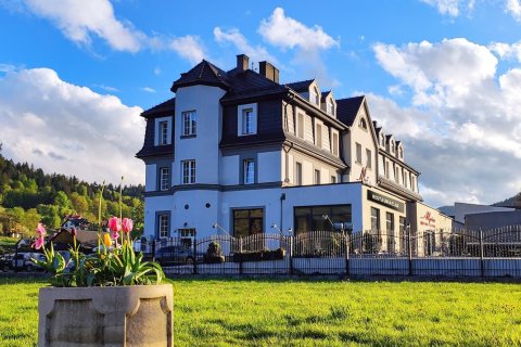 Hotel Alpin