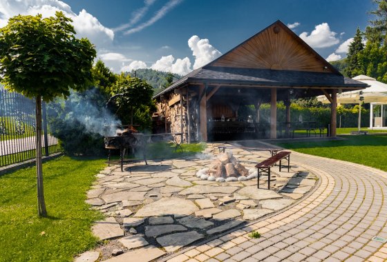 hotel *** - Hotel Alpin - Usługi - zdjęcie 9