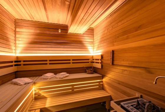 hotel *** - Hotel Alpin - Usługi - zdjęcie 6