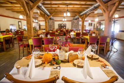 hotel *** - Zamkowy Młyn - zdjęcie 7
