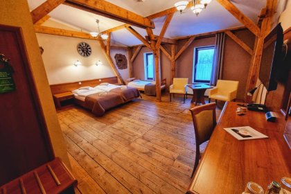 hotel *** - Zamkowy Młyn - zdjęcie 17
