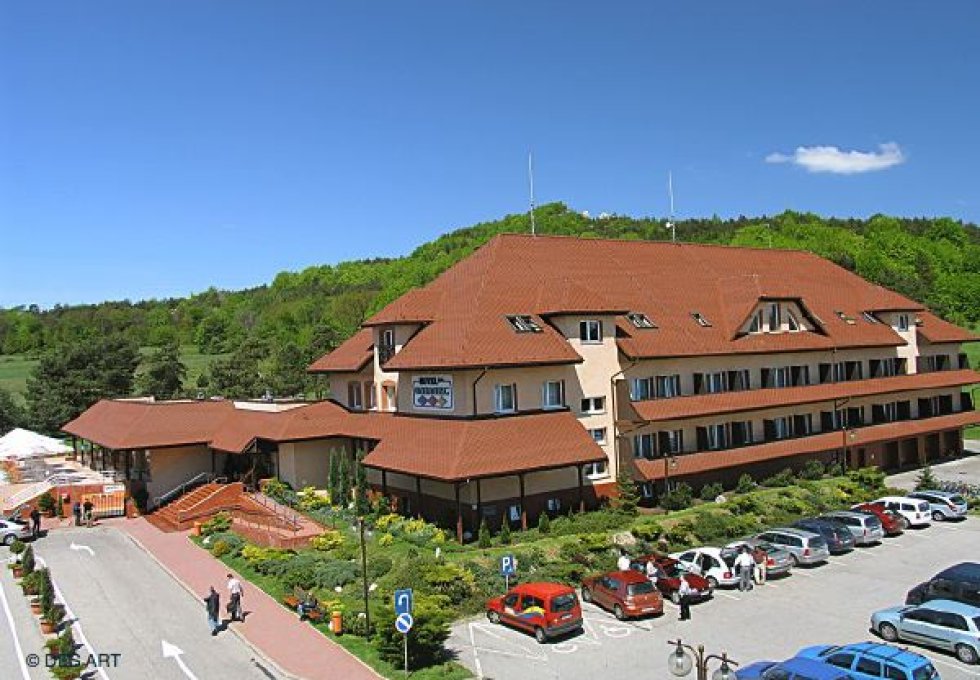 hotel *** - Hotel Ostaniec