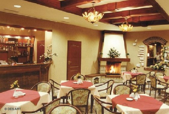 hotel *** - Hotel Ostaniec - Usługi - zdjęcie 1