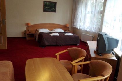 obiekt konferencyjny - Ośrodek Szkoleniowo - Wypoczynkowy Guzianka - zdjęcie 13