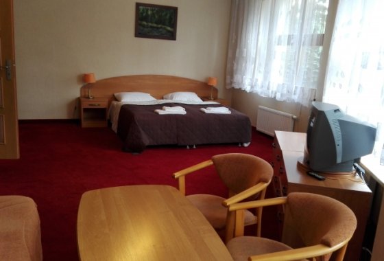 obiekt konferencyjny - Ośrodek Szkoleniowo - Wypoczynkowy Guzianka - Pokoje - zdjęcie 4