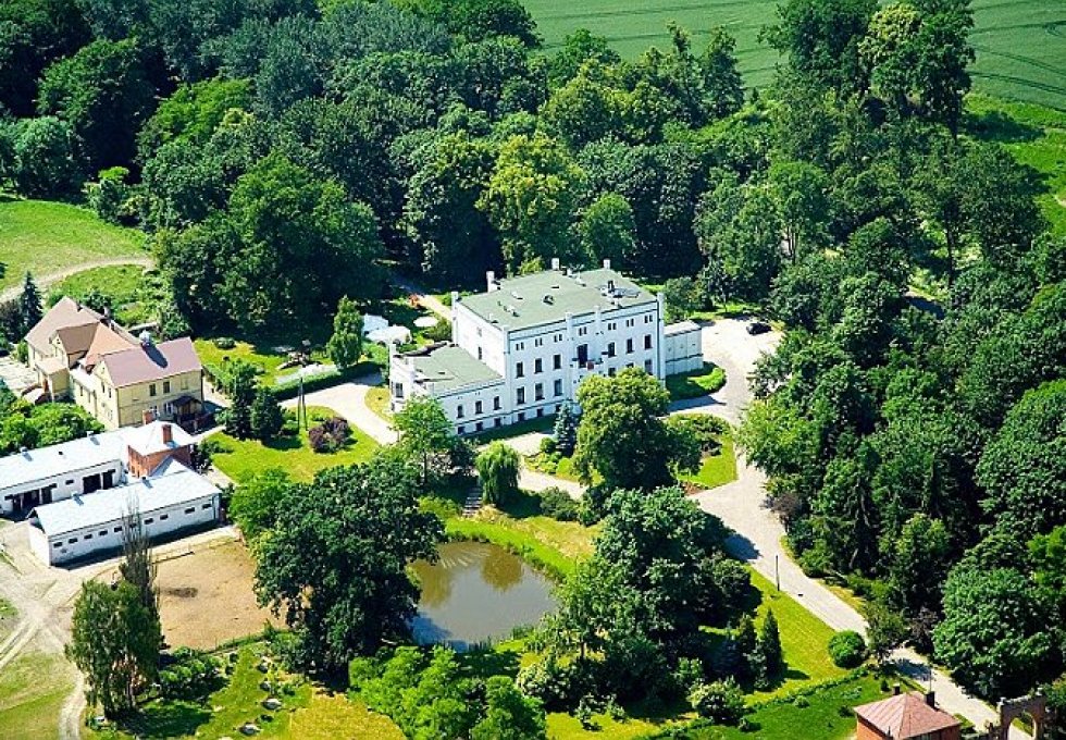 pałac - Pałac Bałoszyce