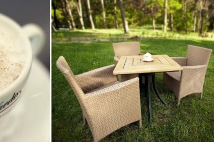 hotel *** - Las Woda*** Park Rekreacyjno - Biznesowy - zdjęcie 10