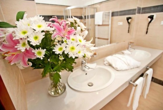 hotel *** - Las Woda*** Park Rekreacyjno - Biznesowy - Pokoje - zdjęcie 3