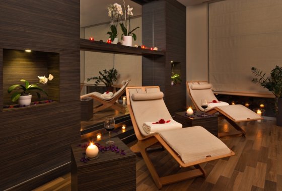 hotel **** - Z-Hotel Business & Spa - Usługi - zdjęcie 1