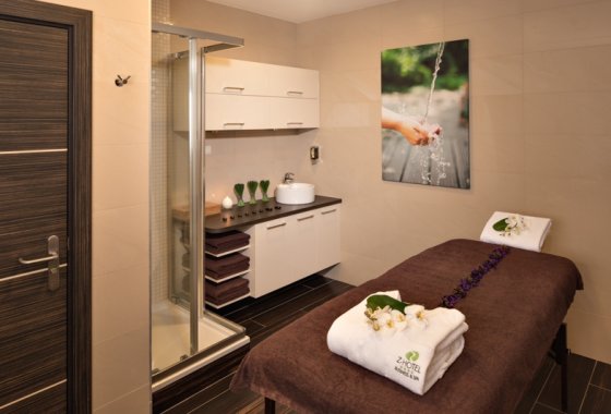 hotel **** - Z-Hotel Business & Spa - Usługi - zdjęcie 8