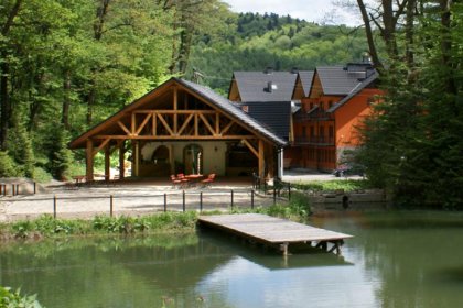 hotel *** - Hotel & Restauracja Salamandra - zdjęcie 3