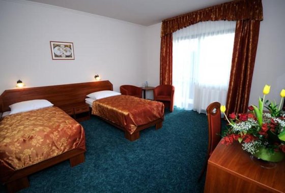 hotel *** - Hotel & Restauracja Salamandra - Pokoje - zdjęcie 1