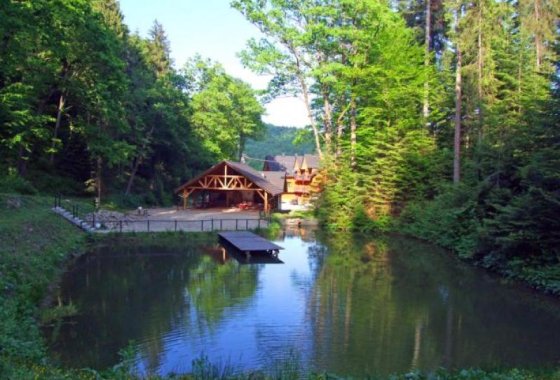 hotel *** - Hotel & Restauracja Salamandra - Usługi - zdjęcie 2