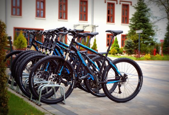 hotel *** - Cottonina Hotel & Mineral SPA Resort - Usługi - zdjęcie 6
