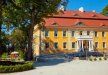 pałac - Pałac Wiechlice - zdjęcie 1