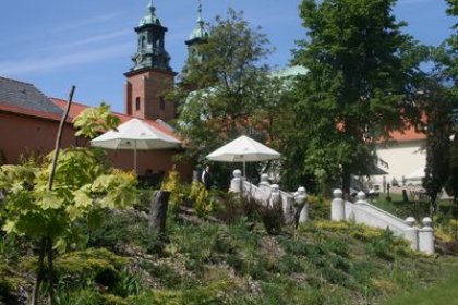 hotel *** - Hotel Adalbertus - zdjęcie 1