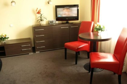 hotel *** - Hotel Wiktoria*** - zdjęcie 6