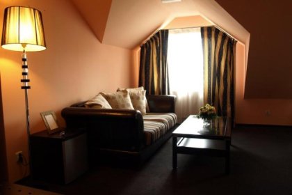 hotel *** - Hotel Wiktoria*** - zdjęcie 8