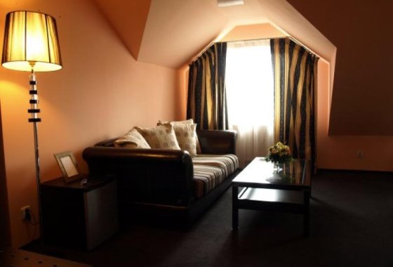 hotel *** - Hotel Wiktoria*** - Pokoje - zdjęcie 1