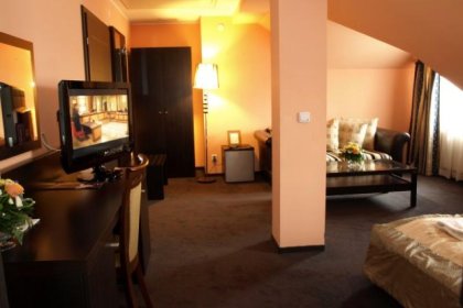 hotel *** - Hotel Wiktoria*** - zdjęcie 5