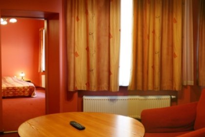 hotel **** - Hotel Diament Plaza Gliwice - zdjęcie 4