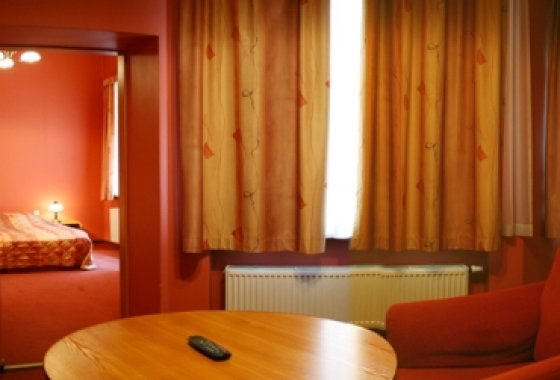 hotel **** - Hotel Diament Plaza Gliwice - Pokoje - zdjęcie 1