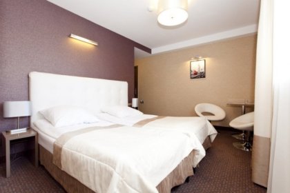 hotel *** - Hotel Ameliówka - zdjęcie 9