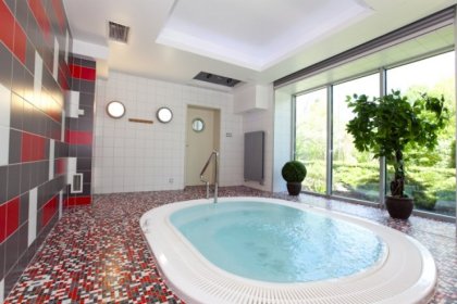 hotel *** - Hotel Ameliówka - zdjęcie 17