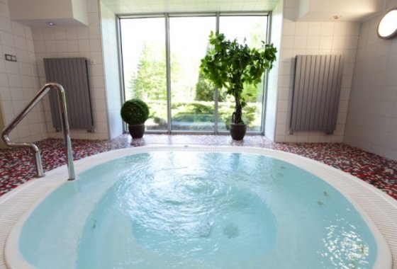 hotel *** - Hotel Ameliówka - Usługi - zdjęcie 3