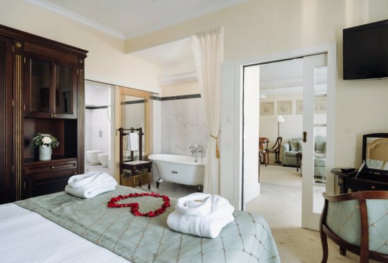 hotel **** - Hotel**** Pałac Romantyczny w Turznie - Pokoje - zdjęcie 3