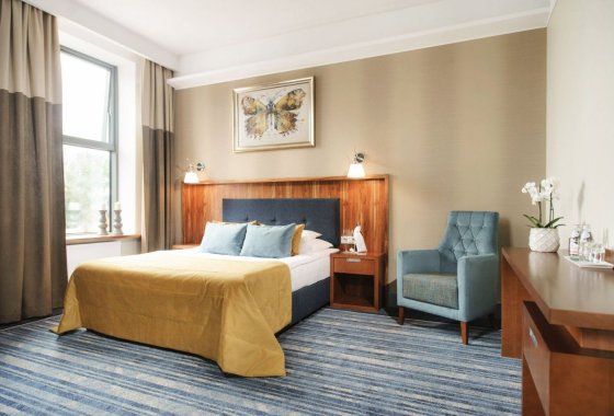 hotel **** - Hotel**** Pałac Romantyczny w Turznie - Pokoje - zdjęcie 9