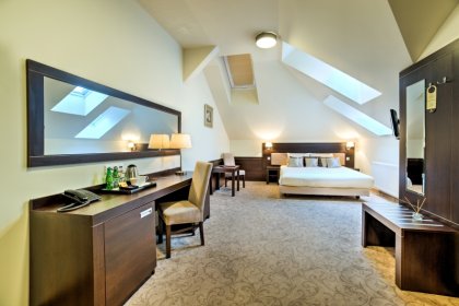 obiekt konferencyjny - Hotel Luxor *** - zdjęcie 9