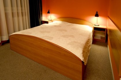 hotel **** - Park Hotel Diament Zabrze**** - zdjęcie 2
