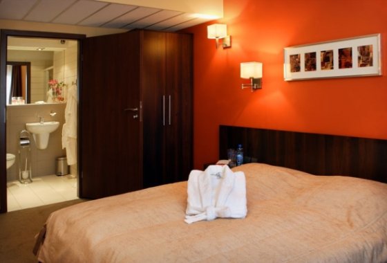 hotel **** - Park Hotel Diament Katowice**** - Pokoje - zdjęcie 3