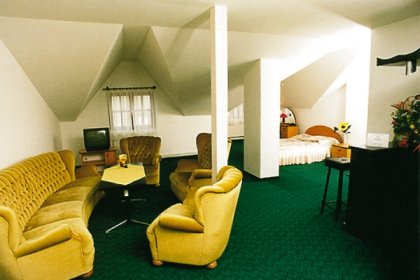 hotel *** - Hotel Zbyszko*** w Nowogrodzie - zdjęcie 2