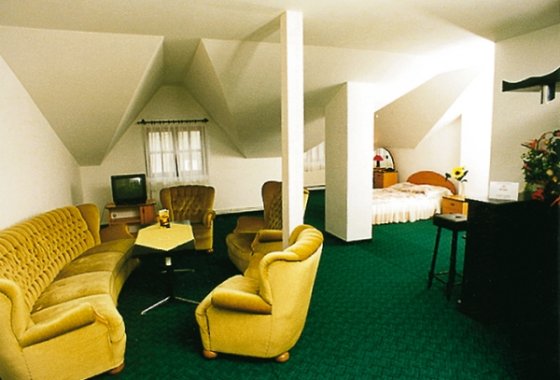 hotel *** - Hotel Zbyszko*** w Nowogrodzie - Pokoje - zdjęcie 1