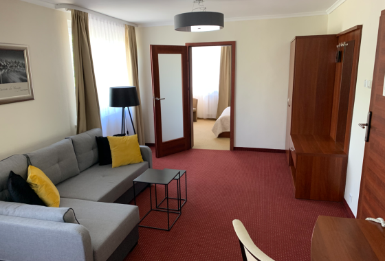 hotel *** - HOTEL ARENA Tychy spa & wellness - Pokoje - zdjęcie 1