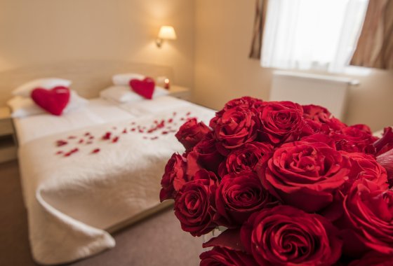 hotel *** - HOTEL ARENA Tychy spa & wellness - Pokoje - zdjęcie 2