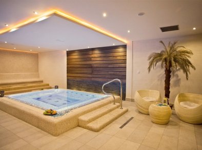 Hotel Arena Tychy Spa & Wellness Sale Biznesowe