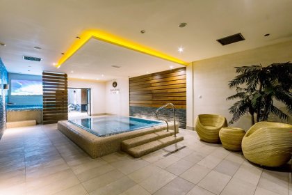 Hotel Arena Tychy Spa & Wellness Sale Biznesowe